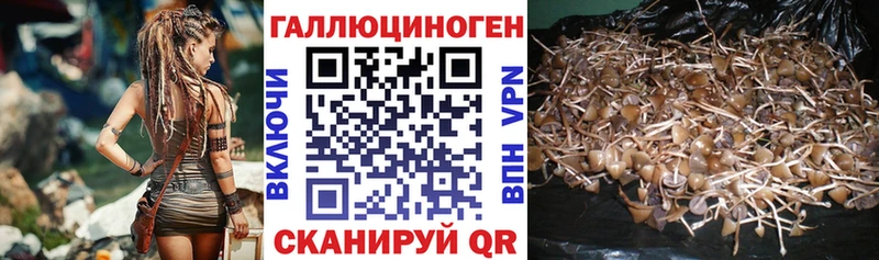 Галлюциногенные грибы MAGIC MUSHROOMS  Инта 